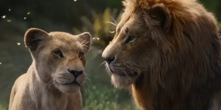 The Lion King